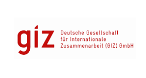 GIZ logo